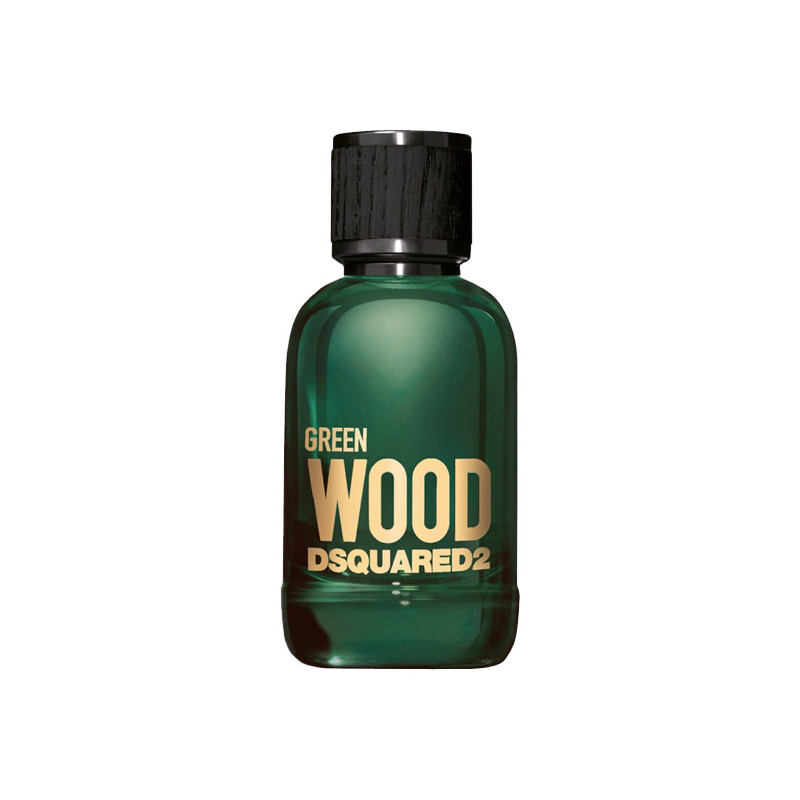 Dsquared2 Green edt 100ml Pour Homme